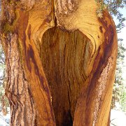 SouthernSierra 709 : SouthernSierra